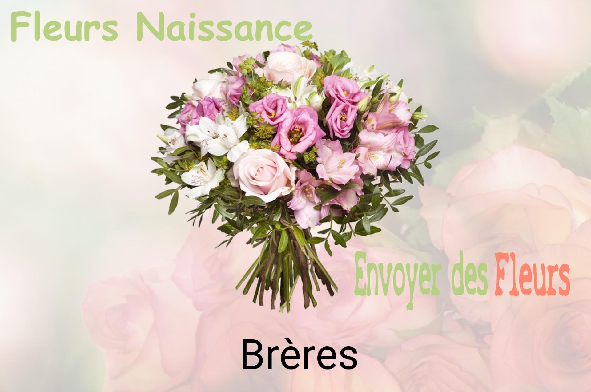 Bouquet de fleurs de naissance livré à Brères